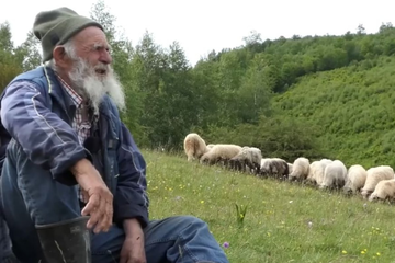 Najstariji  čobanin u BiH ne planira odustati: Danas je hajvan pametniji od insana