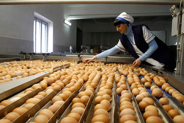 Spuštena rampa koči širenje peradarske proizvodnje