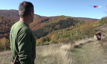 Mirko OČI U OČI SA ZVIJERI "Da mi nije zazvonio telefon, uletio bih medvjedu pravo u naručje"