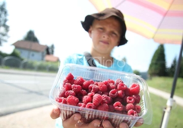 Jovanče sa Manjače NE ODUSTAJE: Vrijedni dječak od ranog jutra putnicima prodaje maline