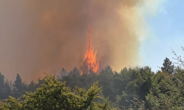 Požar u Srebrenici još uvijek nije ugašen, hitno potrebna pomoć iz zraka